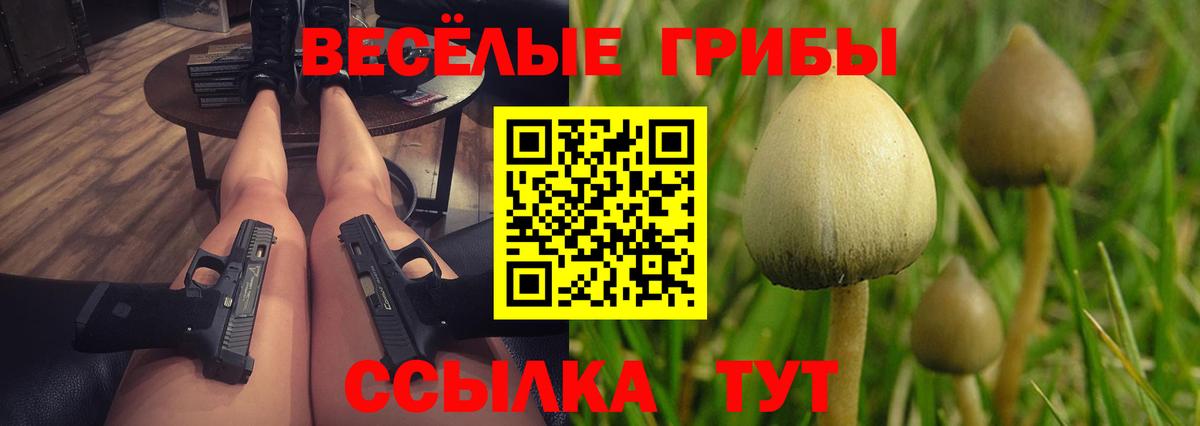 A PVP Торжок